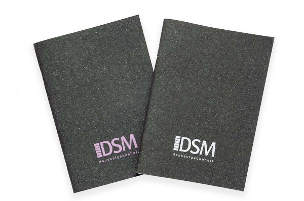 dsm-gadgets-diari-2